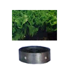 Romaine sallad såhjul för HMC såmaskin ∅5mm