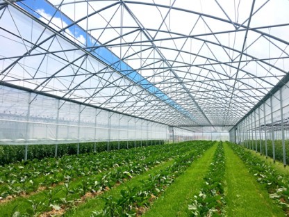 V&auml;xthus SCANDI&reg;Tunnelart PV, bredd 9,60m och l&auml;ngd 10m 