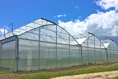 V&auml;xthus SCANDI MultiArt800 bredd 8m och l&auml;ngd 20m, 160m&sup2;