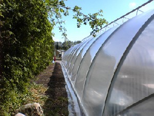 ROVX 2500 V&auml;xthusfolie spillbitar till specialpris 10x12m inkl. emballage