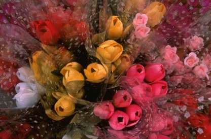 Snittblommor